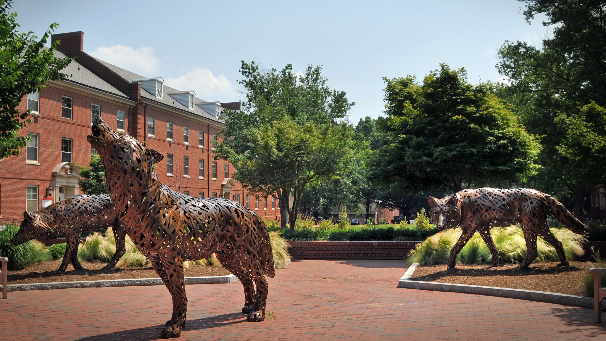 Picture of metal wolf statues on NC State Campus